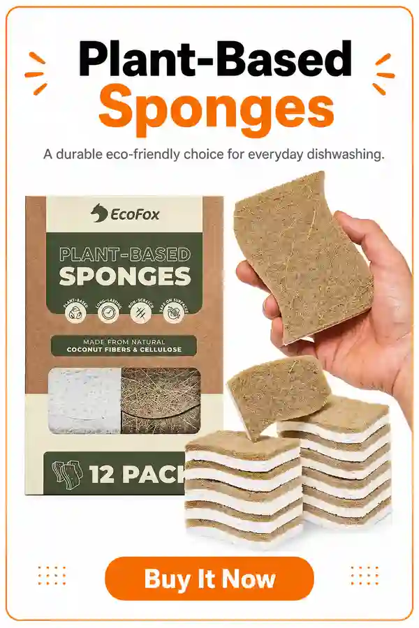 EcoFox Plant-Based Sponges