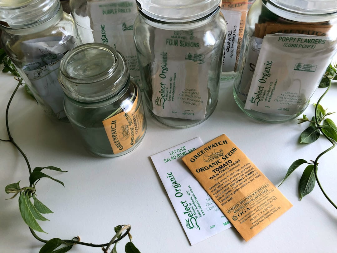 glass mason jars with seed sachet inside on Earth Wise Budget